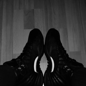 Meet your Posher, Bearded